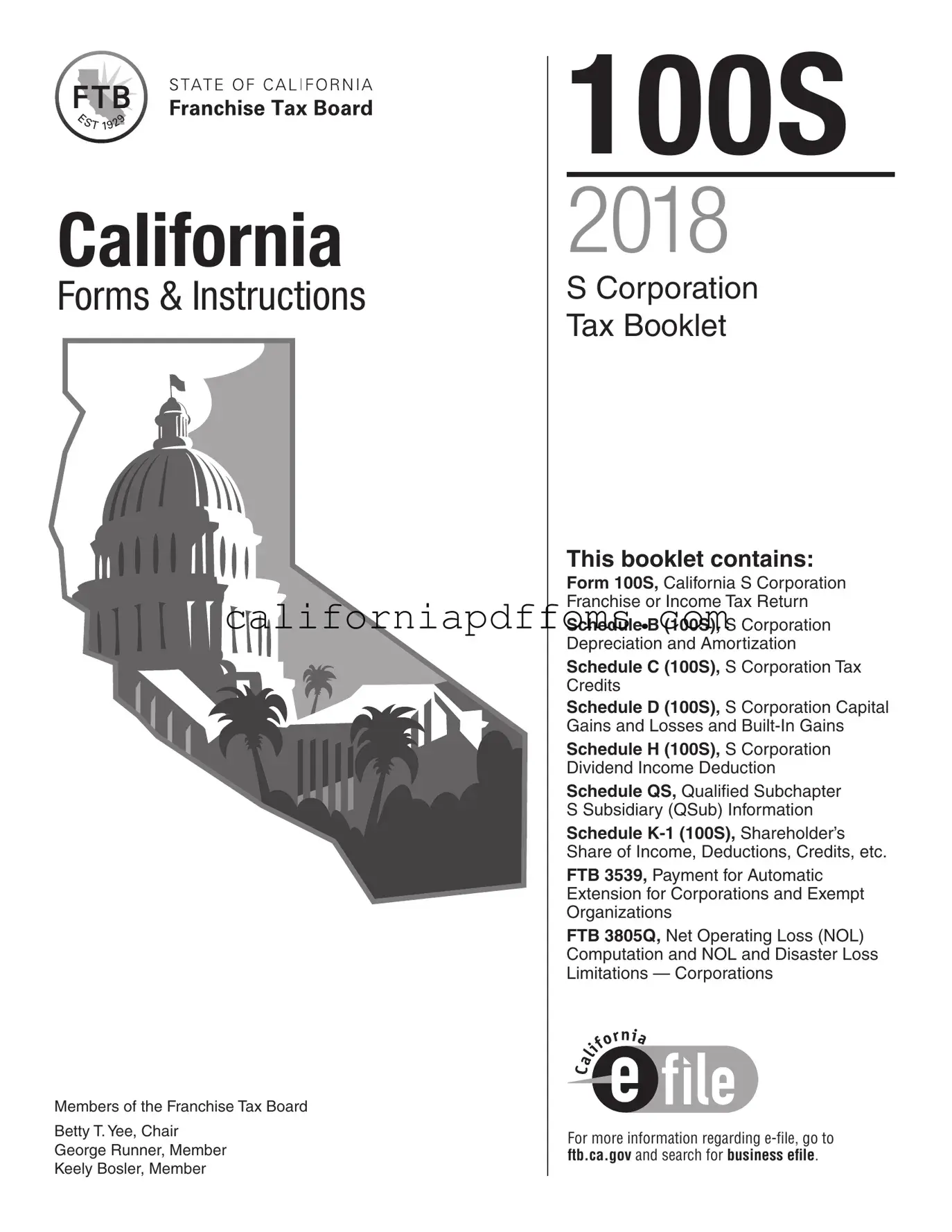 Fill in Your California 100S Template