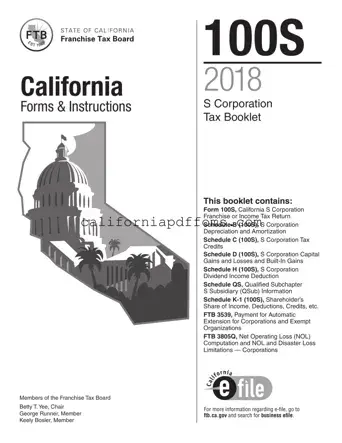 Fill in Your California 100S Template