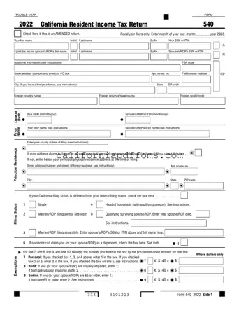 Fill in Your California 540 V Template